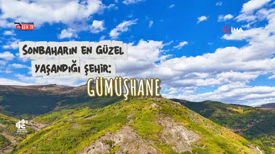 Gümüşhane'de sonbaharın renk cümbüşü başladı