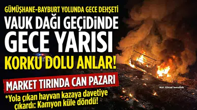 Gümüşhane’de yola çıkan yabani hayvan kazaya yol açtı: Kamyon küle döndü