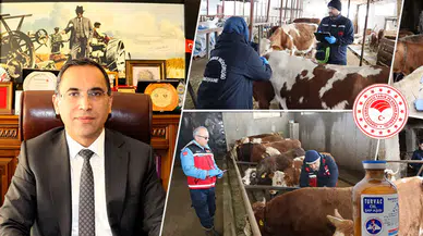 Gümüşhane’de İlkbahar Dönemi Şap Aşılama Kampanyası Başladı