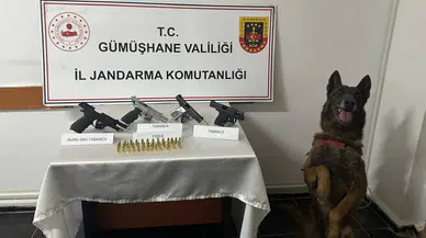 Jandarma’dan ruhsatsız silah operasyonu
