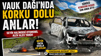 Vauk Dağı'nda Korku Dolu Anlar! Sürücü Kendini Dışarı Son Anda Attı