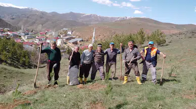 Gurbetten Sıla’ya Yeşil Köprü: Kocayokuş Köyü’nde Binlerce Fidan Toprakla Buluştu!
