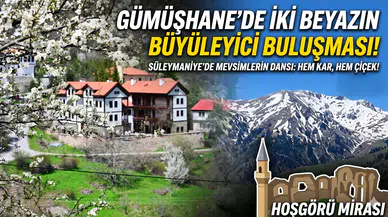 Gümüşhane’nin "Eski Şehri" Süleymaniye baharın renklerine teslim oldu