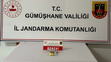 Gümüşhane Uyuşturucu Operasyonu: Jandarma Ekipleri Zehir Tacirlerine Geçit Vermedi