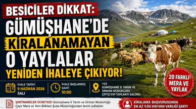 Besiciler Dikkat: Gümüşhane'de Kiralanamayan O Yaylalar Yeniden İhaleye Çıkıyor!