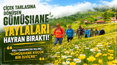 Çiçek Tarlasına Dönüşen Gümüşhane Yaylaları Hayran Bıraktı