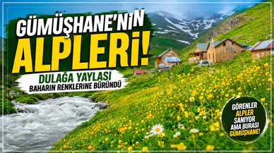 Görenler Alpler Sanıyor Ama Burası Gümüşhane! Gümüşhane'deki O Yayla Ziyaretçilerini Büyülüyor