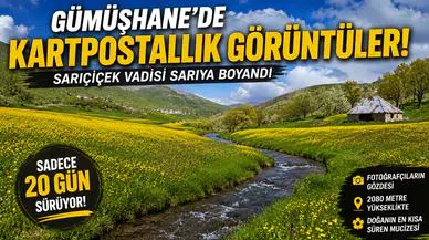 Sadece 20 Gün Sürüyor! Gümüşhane'deki O Vadi Görenleri Kendine Hayran Bırakıyor