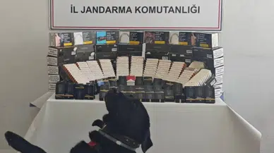 Gümüşhane İl Jandarma Komutanlığından Şiran'da Kaçakçılık Operasyonu