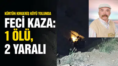 Kürtün Kırgeriş Köyü Yolunda Feci Kaza: 1 Ölü, 2 Yaralı