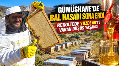 Gümüşhane’de Bal Hasadı Sona Erdi: Rekoltede Yüzde 50'ye Varan Düşüş Yaşandı