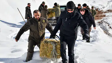 Gümüşhane’de aç kalan yaban hayvanları için seferberlik