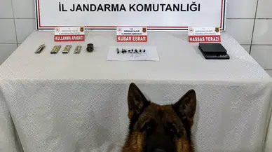 İl Jandarma Komutanlığı’ndan Kelkit’te uyuşturucu operasyonu