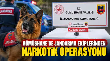 Gümüşhane’de Jandarma Ekiplerinden Narkotik Operasyonu