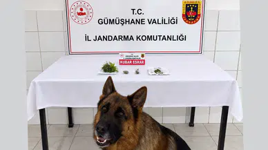 Söğütlü Beldesinde Uyuşturucu Operasyonu: Esrar Ele Geçirildi