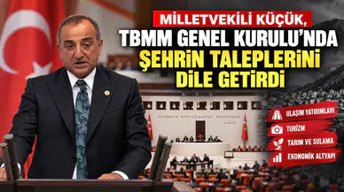 Milletvekili Küçük, TBMM Genel Kurulu'nda Gümüşhane'nin taleplerini dile getirdi