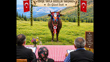 Ballıca Köyü Sakinleri Geleneksel Yayla Göçünü Kutlamalarla Gerçekleştirdi