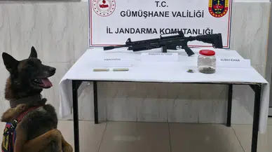 Jandarma’dan Kürtün’de Uyuşturucu Operasyonu