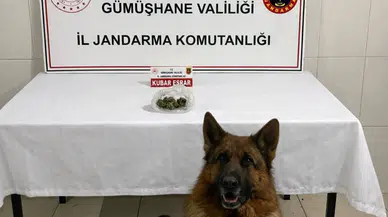 Gümüşhane İl Jandarma Komutanlığı’ndan Uyuşturucu Operasyonu: Bir Gözaltı