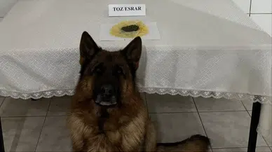 Gümüşhane'de zehir tacirlerine geçit yok