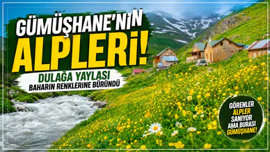 Görenler Alpler Sanıyor Ama Burası Gümüşhane! Gümüşhane'deki O Yayla Ziyaretçilerini Büyülüyor