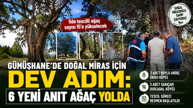 Gümüşhane’de Doğal Miras İçin Dev Adım: 6 Yeni Anıt Ağaç Yolda