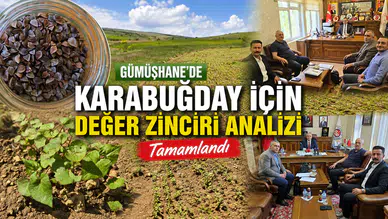 Gümüşhane'de Karabuğday İçin Değer Zinciri Analizi Tamamlandı