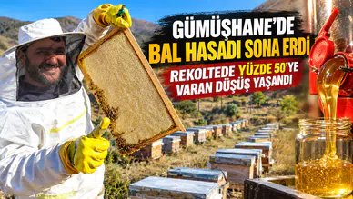 Gümüşhane’de Bal Hasadı Sona Erdi: Rekoltede Yüzde 50'ye Varan Düşüş Yaşandı