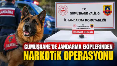 Gümüşhane’de Jandarma Ekiplerinden Narkotik Operasyonu