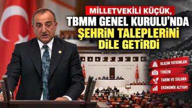 Milletvekili Küçük, TBMM Genel Kurulu'nda Gümüşhane'nin taleplerini dile getirdi