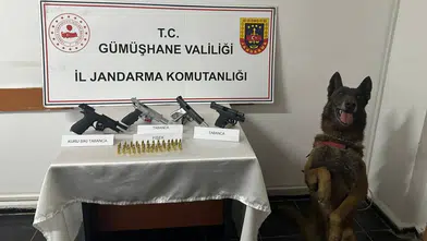 Jandarma’dan ruhsatsız silah operasyonu