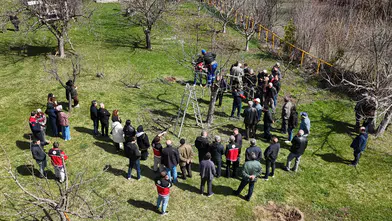 Gümüşhane’de meyve üreticilerine profesyonel budama eğitimi verildi
