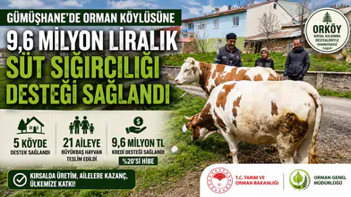 Gümüşhane'de Orman Köylüsüne 9,6 Milyon Liralık Süt Sığırcılığı Desteği Sağlandı