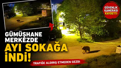 Gümüşhane’de şehir merkezinde yiyecek arayan ayı kamerada