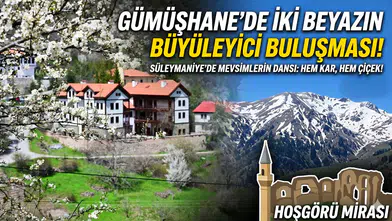 Gümüşhane’nin "Eski Şehri" Süleymaniye baharın renklerine teslim oldu