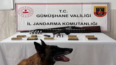 Gümüşhane'de ruhsatsız silah ve çok sayıda mühimmat ele geçirildi