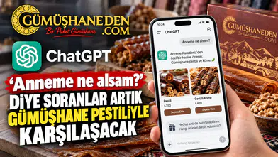 ChatGPT'ye 'Anneme Ne Alsam?' Diye Soranlar Artık Gümüşhane Pestiliyle Karşılaşacak