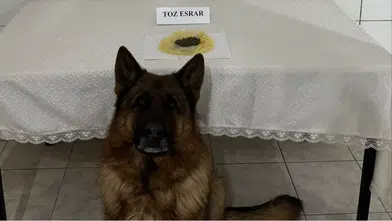 Gümüşhane'de zehir tacirlerine geçit yok