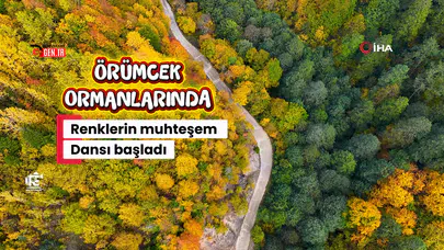 Örümcek Ormanları'nda Sonbahar Büyüsü: Görenleri Hayran Bırakıyor!