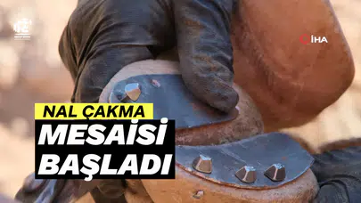 Gümüşhane’de hayvancıların "nal" mesaisi başladı