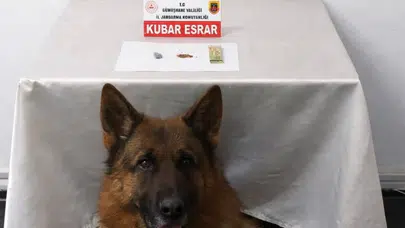 Jandarma ekipleri zehir tacirlerine geçit vermiyor