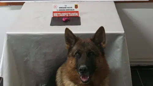 Gümüşhane’de uyuşturucu operasyonunda 2 şahıs yakalandı