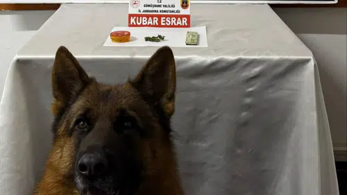 Trabzon'dan Gümüşhane'ye uyuşturucu sevkiyatına Jandarma darbesi