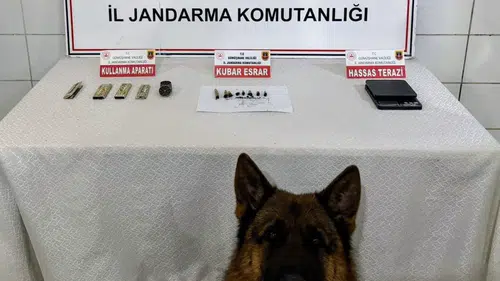 İl Jandarma Komutanlığı’ndan Kelkit’te uyuşturucu operasyonu