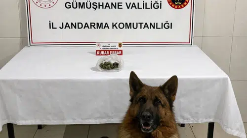 Gümüşhane İl Jandarma Komutanlığı’ndan Uyuşturucu Operasyonu: Bir Gözaltı