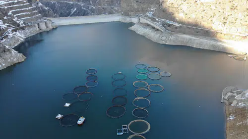 Denizi olmayan Gümüşhane'de alabalık üretimi 2 bin tona ulaştı