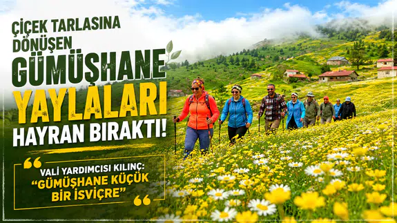 Çiçek Tarlasına Dönüşen Gümüşhane Yaylaları Hayran Bıraktı