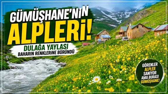 Görenler Alpler Sanıyor Ama Burası Gümüşhane! Gümüşhane'deki O Yayla Ziyaretçilerini Büyülüyor