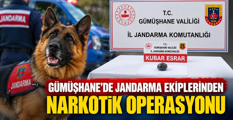 Gümüşhane’de Jandarma Ekiplerinden Narkotik Operasyonu
