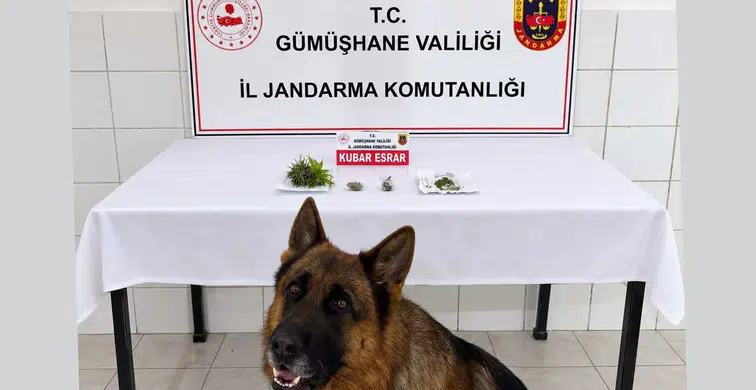 Söğütlü Beldesinde Uyuşturucu Operasyonu: Esrar Ele Geçirildi
